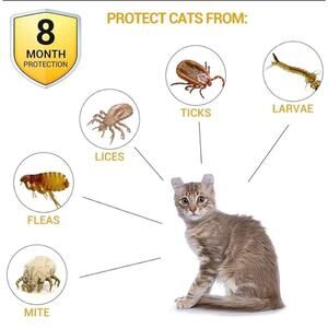 Cat Collar 8 Month Protection waterproof allergy free safe collar